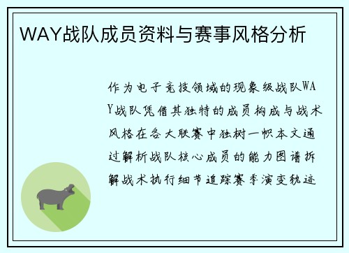 WAY战队成员资料与赛事风格分析
